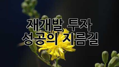 재개발 투자, 성공의 지름길